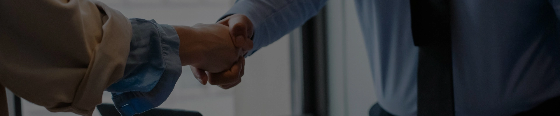 Download di documenti SAI-U